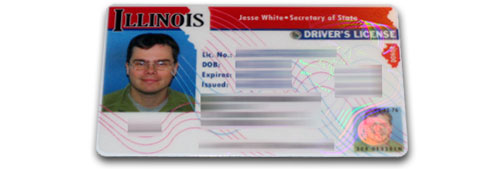 Illinois Drivers License