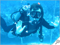 Key Largo diving
