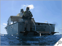 Key Largo diving