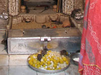 Karni Mata Temple, Rajasthan, India