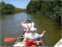 Buttonwood Canal, Everglades National Park