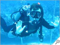 Key Largo diving