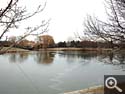 Chicago Botanic Garden