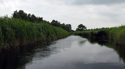 Boat tour at Botshol