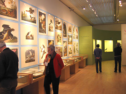 Audubon Exhibit at Teyler Museum