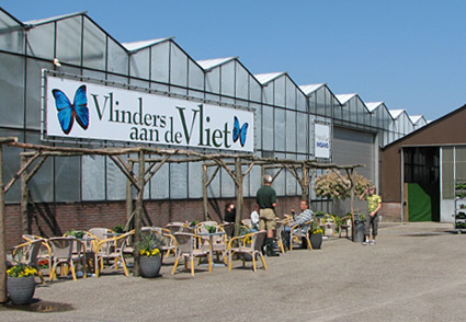 Butterflies at Vlinders aan de Vliet in Leidschendam