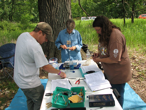 Bird banders at work