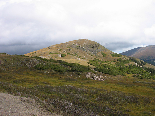 View from Trail Ridge Road