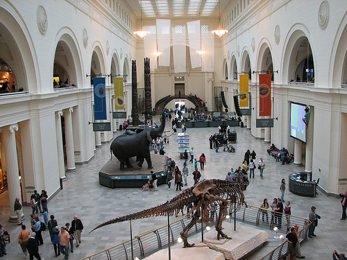 Field Museum