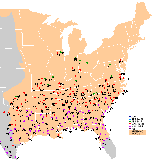 Hummingbird migration map