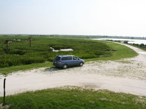 Roads at Viera wetlands