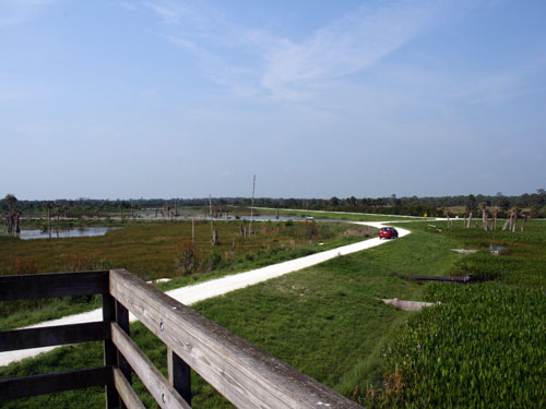 Viera wetlands