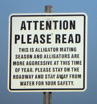 Alligator sign