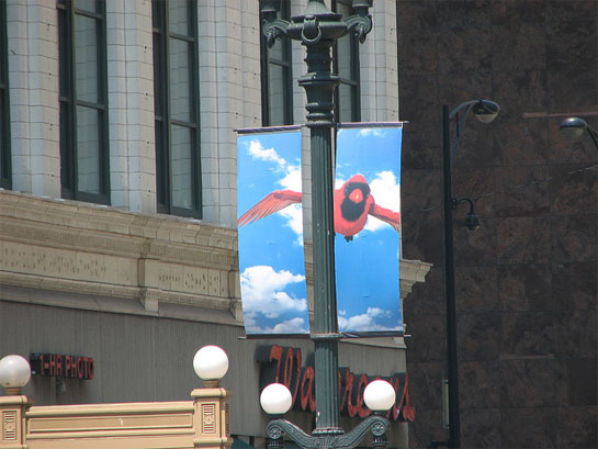 Eye and Cardinal by Tony Tasset