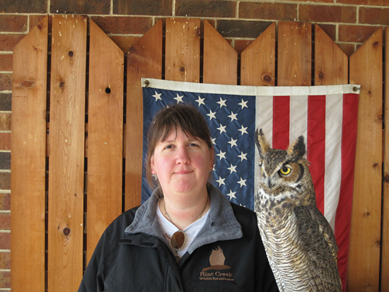 Great Horned Owl