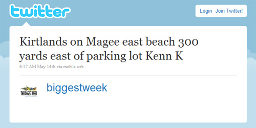 Twitter: Kirtlands on Magee east beach 300 yards east of parking lot Kenn K