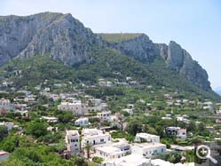  - (1970-01-01&nbsp;2005) - Photo Album Amy and Arthur