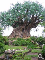  - (1970-01-01&nbsp;2005) - Photo Album Amy and Arthur