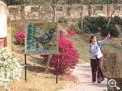  - (1970-01-01&nbsp;2006) - Photo Album Amy and Arthur