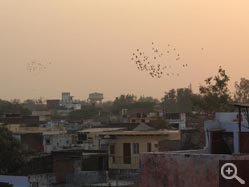  - (1970-01-01&nbsp;2006) - Photo Album Amy and Arthur