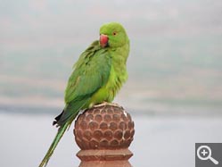  - (1970-01-01&nbsp;2006) - Photo Album Amy and Arthur