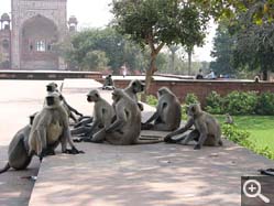  - (1970-01-01&nbsp;2006) - Photo Album Amy and Arthur