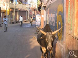  - (1970-01-01&nbsp;2006) - Photo Album Amy and Arthur