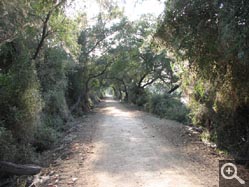  - (1970-01-01&nbsp;2006) - Photo Album Amy and Arthur