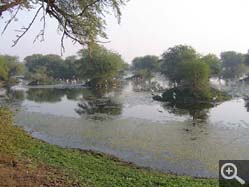  - (1970-01-01&nbsp;2006) - Photo Album Amy and Arthur