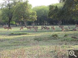  - (1970-01-01&nbsp;2006) - Photo Album Amy and Arthur