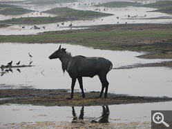  - (1970-01-01&nbsp;2006) - Photo Album Amy and Arthur