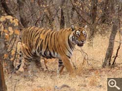  - (1970-01-01&nbsp;2006) - Photo Album Amy and Arthur