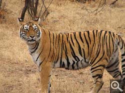  - (1970-01-01&nbsp;2006) - Photo Album Amy and Arthur