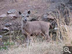  - (1970-01-01&nbsp;2006) - Photo Album Amy and Arthur