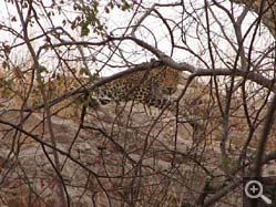  - (1970-01-01&nbsp;2006) - Photo Album Amy and Arthur