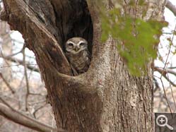  - (1970-01-01&nbsp;2006) - Photo Album Amy and Arthur