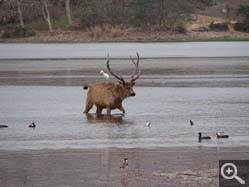  - (1970-01-01&nbsp;2006) - Photo Album Amy and Arthur