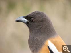  - (1970-01-01&nbsp;2006) - Photo Album Amy and Arthur