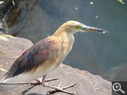  - (1970-01-01&nbsp;2006) - Photo Album Amy and Arthur