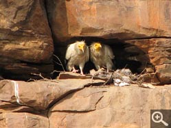  - (1970-01-01&nbsp;2006) - Photo Album Amy and Arthur