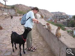  - (1970-01-01&nbsp;2006) - Photo Album Amy and Arthur