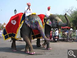  - (1970-01-01&nbsp;2006) - Photo Album Amy and Arthur