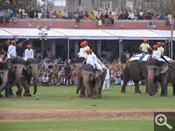  - (1970-01-01&nbsp;2006) - Photo Album Amy and Arthur