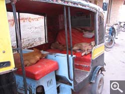  - (1970-01-01&nbsp;2006) - Photo Album Amy and Arthur