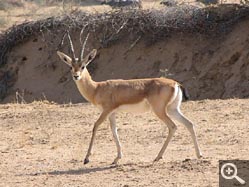  - (1970-01-01&nbsp;2006) - Photo Album Amy and Arthur