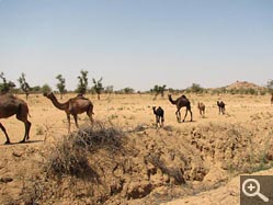  - (1970-01-01&nbsp;2006) - Photo Album Amy and Arthur