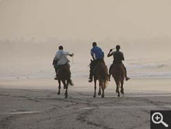  - (1970-01-01&nbsp;2007) - Photo Album Amy and Arthur