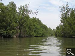  - (1970-01-01&nbsp;2007) - Photo Album Amy and Arthur