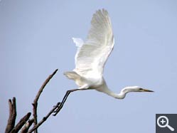  - (1970-01-01&nbsp;2007) - Photo Album Amy and Arthur