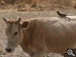  - (1970-01-01&nbsp;2007) - Photo Album Amy and Arthur